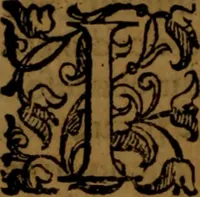 An illustration from De medica historia mirabili libri sex (1586)