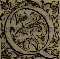 An illustration from De medica historia mirabili libri sex (1586)