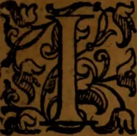 An illustration from De medica historia mirabili libri sex (1586)
