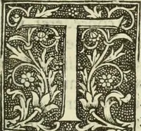 An illustration from De memorabilibus et claris mulieribus : Aliquot diversorum scriptorum opera (1521)