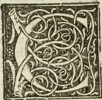 Picture 69 of 188 from De memorabilibus et claris mulieribus : Aliquot diversorum scriptorum opera (1521), leaf 101