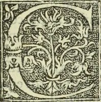 Picture 73 of 188 from De memorabilibus et claris mulieribus : Aliquot diversorum scriptorum opera (1521), leaf 104