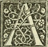 Picture 78 of 188 from De memorabilibus et claris mulieribus : Aliquot diversorum scriptorum opera (1521), leaf 108