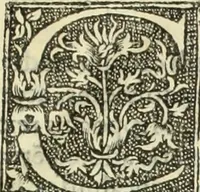 Picture 4 of 188 from De memorabilibus et claris mulieribus : Aliquot diversorum scriptorum opera (1521), leaf 12
