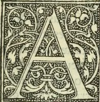 An illustration from De memorabilibus et claris mulieribus : Aliquot diversorum scriptorum opera (1521)
