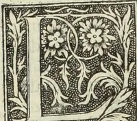 Picture 6 of 188 from De memorabilibus et claris mulieribus : Aliquot diversorum scriptorum opera (1521), leaf 13