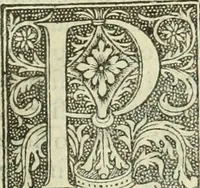 Picture 92 of 188 from De memorabilibus et claris mulieribus : Aliquot diversorum scriptorum opera (1521), leaf 132