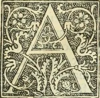 Picture 98 of 188 from De memorabilibus et claris mulieribus : Aliquot diversorum scriptorum opera (1521), leaf 144