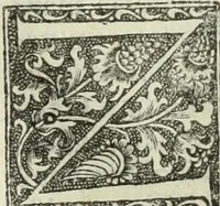 Picture 101 of 188 from De memorabilibus et claris mulieribus : Aliquot diversorum scriptorum opera (1521), leaf 155