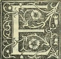 An illustration from De memorabilibus et claris mulieribus : Aliquot diversorum scriptorum opera (1521)