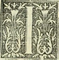 An illustration from De memorabilibus et claris mulieribus : Aliquot diversorum scriptorum opera (1521)