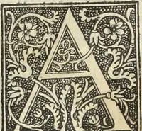 An illustration from De memorabilibus et claris mulieribus : Aliquot diversorum scriptorum opera (1521)