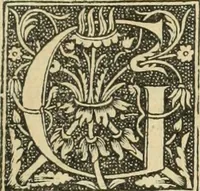 Picture 117 of 188 from De memorabilibus et claris mulieribus : Aliquot diversorum scriptorum opera (1521), leaf 198