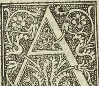 An illustration from De memorabilibus et claris mulieribus : Aliquot diversorum scriptorum opera (1521)