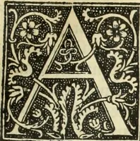 Picture 125 of 188 from De memorabilibus et claris mulieribus : Aliquot diversorum scriptorum opera (1521), leaf 214