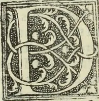 An illustration from De memorabilibus et claris mulieribus : Aliquot diversorum scriptorum opera (1521)