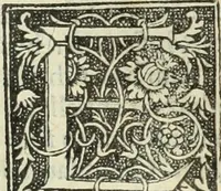 An illustration from De memorabilibus et claris mulieribus : Aliquot diversorum scriptorum opera (1521)