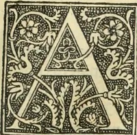 Picture 136 of 188 from De memorabilibus et claris mulieribus : Aliquot diversorum scriptorum opera (1521), leaf 246