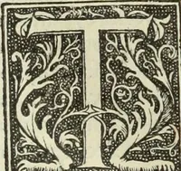 Picture 140 of 188 from De memorabilibus et claris mulieribus : Aliquot diversorum scriptorum opera (1521), leaf 255