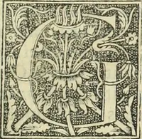 Picture 144 of 188 from De memorabilibus et claris mulieribus : Aliquot diversorum scriptorum opera (1521), leaf 262