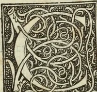 Picture 146 of 188 from De memorabilibus et claris mulieribus : Aliquot diversorum scriptorum opera (1521), leaf 267