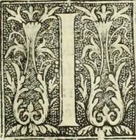 An illustration from De memorabilibus et claris mulieribus : Aliquot diversorum scriptorum opera (1521)