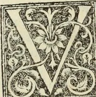 Picture 154 of 188 from De memorabilibus et claris mulieribus : Aliquot diversorum scriptorum opera (1521), leaf 279