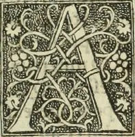 Picture 158 of 188 from De memorabilibus et claris mulieribus : Aliquot diversorum scriptorum opera (1521), leaf 288
