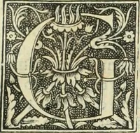 Picture 160 of 188 from De memorabilibus et claris mulieribus : Aliquot diversorum scriptorum opera (1521), leaf 290