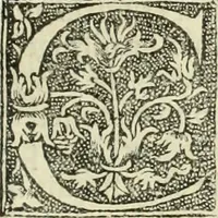 Picture 165 of 188 from De memorabilibus et claris mulieribus : Aliquot diversorum scriptorum opera (1521), leaf 298