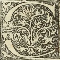 Picture 172 of 188 from De memorabilibus et claris mulieribus : Aliquot diversorum scriptorum opera (1521), leaf 309