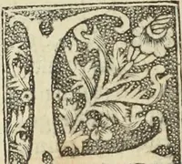 Picture 173 of 188 from De memorabilibus et claris mulieribus : Aliquot diversorum scriptorum opera (1521), leaf 311