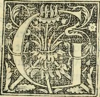 Picture 176 of 188 from De memorabilibus et claris mulieribus : Aliquot diversorum scriptorum opera (1521), leaf 316