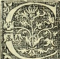 Picture 177 of 188 from De memorabilibus et claris mulieribus : Aliquot diversorum scriptorum opera (1521), leaf 316