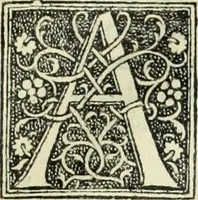Picture 182 of 188 from De memorabilibus et claris mulieribus : Aliquot diversorum scriptorum opera (1521), leaf 358