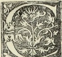 Picture 183 of 188 from De memorabilibus et claris mulieribus : Aliquot diversorum scriptorum opera (1521), leaf 361