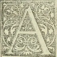 Picture 38 of 188 from De memorabilibus et claris mulieribus : Aliquot diversorum scriptorum opera (1521), leaf 73