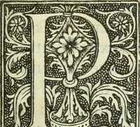 An illustration from De memorabilibus et claris mulieribus : Aliquot diversorum scriptorum opera (1521)
