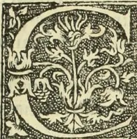 An illustration from De memorabilibus et claris mulieribus : Aliquot diversorum scriptorum opera (1521)