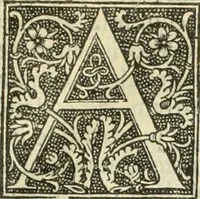 An illustration from De memorabilibus et claris mulieribus : Aliquot diversorum scriptorum opera (1521)