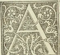 An illustration from De memorabilibus et claris mulieribus : Aliquot diversorum scriptorum opera (1521)