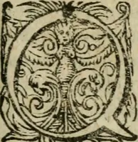 An illustration from De miracvlis occvltis natvrae libri IIII : item, De vita cvm animi et corporis incolvmitate recte institvenda liber vnvs : illi quidem iam postremum emendati, & aliquot capitibus aucti : hic verò nunquam antehac editus (1583)