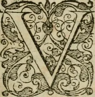 An illustration from De miracvlis occvltis natvrae libri IIII : item, De vita cvm animi et corporis incolvmitate recte institvenda liber vnvs : illi quidem iam postremum emendati, & aliquot capitibus aucti : hic verò nunquam antehac editus (1583)
