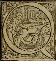 An illustration from De monetis, et re nvmaria, libri dvo... His accesservnt tractatuvs varii ... necnon consilia ... tam veterum quàm neotericorum authorum, qui de monetis ... scripserunt .. (1591)