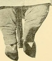 An illustration from Demonism verified and analyzed (1922)