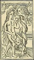 An illustration from Demonology and devil-lore (1879)