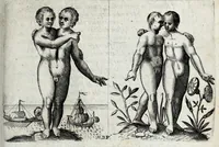 Picture 9 of 26 from De monstrorum caussis, natura, et differentiis libri duo : in quibus ex rei natura monstrorum historiae, caussae, generationes, & differentiae plurimae a sapientibus intactae : cum generatim & in plantarum, & belluarum genere, tum seorsum in humana specie tractantur : multis illustrium autorum locis difficillimis explanatis de masculo parturiente, de feminis in viros mutatis, de hermaphroditorum natura, de dissimilium specierum : venere prolifica, de castratorum fecunditate, depuero lapidescente, de anomantis aurea parte, alijsque admirabilibus (1634), leaf 107