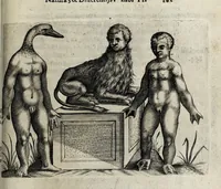 Picture 19 of 26 from De monstrorum caussis, natura, et differentiis libri duo : in quibus ex rei natura monstrorum historiae, caussae, generationes, & differentiae plurimae a sapientibus intactae : cum generatim & in plantarum, & belluarum genere, tum seorsum in humana specie tractantur : multis illustrium autorum locis difficillimis explanatis de masculo parturiente, de feminis in viros mutatis, de hermaphroditorum natura, de dissimilium specierum : venere prolifica, de castratorum fecunditate, depuero lapidescente, de anomantis aurea parte, alijsque admirabilibus (1634), leaf 219