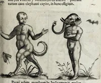 Picture 21 of 26 from De monstrorum caussis, natura, et differentiis libri duo : in quibus ex rei natura monstrorum historiae, caussae, generationes, & differentiae plurimae a sapientibus intactae : cum generatim & in plantarum, & belluarum genere, tum seorsum in humana specie tractantur : multis illustrium autorum locis difficillimis explanatis de masculo parturiente, de feminis in viros mutatis, de hermaphroditorum natura, de dissimilium specierum : venere prolifica, de castratorum fecunditate, depuero lapidescente, de anomantis aurea parte, alijsque admirabilibus (1634), leaf 229