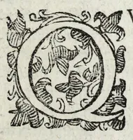 Picture 3 of 26 from De monstrorum caussis, natura, et differentiis libri duo : in quibus ex rei natura monstrorum historiae, caussae, generationes, & differentiae plurimae a sapientibus intactae : cum generatim & in plantarum, & belluarum genere, tum seorsum in humana specie tractantur : multis illustrium autorum locis difficillimis explanatis de masculo parturiente, de feminis in viros mutatis, de hermaphroditorum natura, de dissimilium specierum : venere prolifica, de castratorum fecunditate, depuero lapidescente, de anomantis aurea parte, alijsque admirabilibus (1634), leaf 29